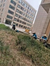 黨建引領|嘉泰黨支部用實際行動助力創城