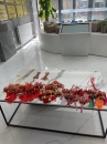 嘉泰物業(yè)|端午節(jié)，揚(yáng)帆日，一“粽”定乾坤！